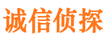 崇阳调查事务所